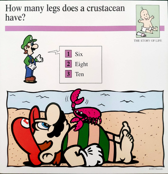 File:Crustacean quiz card.png