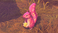Squirrels that appear around the Forest Layer