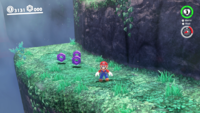 SMO Wooded Coins A.png
