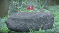 A Boulder in Super Mario Odyssey