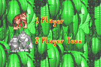 The player selection screen for starting a new game in Donkey Kong Country for the Game Boy Advance