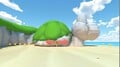 View of the Koopa Troopa shaped rock