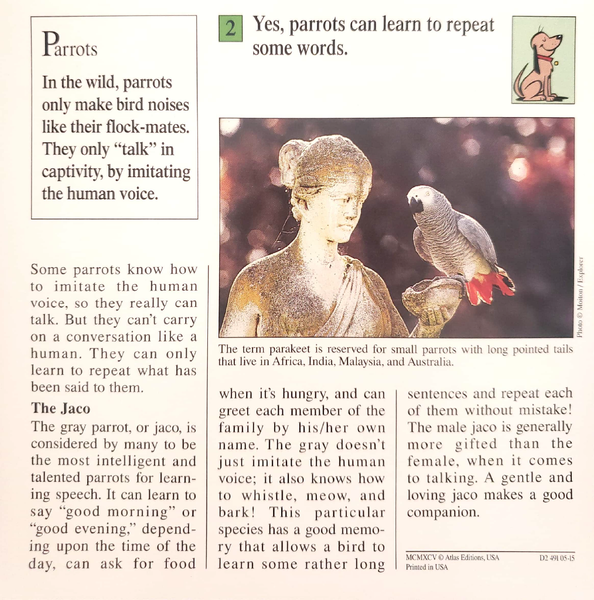 File:Parrots quiz card back.png