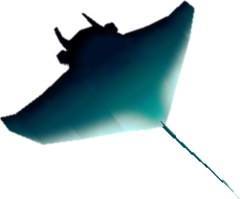 Manta - Super Mario Wiki, the Mario encyclopedia