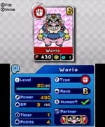 A Wario Kard screenshot.