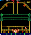 Donkey Kong is defeated.