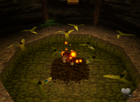 A 5-Banana Coin on DK Isles.