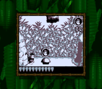 An exclusive type of Bonus Area in Donkey Kong Land, where the Kongs shoot out their collected Kong Tokens from a Barrel Cannon