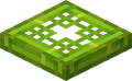 Bamboo Trapdoor