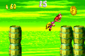 Diddy and Dixie reach the end of the first Bonus Level