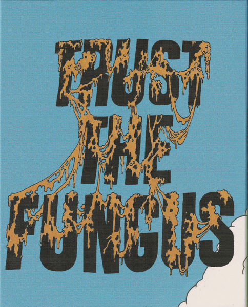 File:SMB 1993 1UP SC Back.png