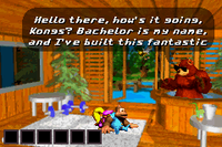 Bachelor Pad DKC3 GBA.png