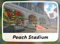 Peach Stadium