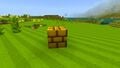 Minecraft Mario Mash-Up Gold Brick Block.jpg