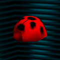 テントウムシのからだ ("Ladybug body")