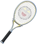 A Fever Racket from Mario Tennis Fever
