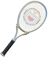 A Fever Racket from Mario Tennis Fever