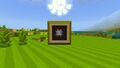 Minecraft Mario Mash-Up Slime Ball.jpg