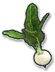 Turnip icon from Paper Mario: Color Splash