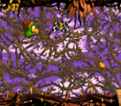 Screech's Sprint The first and only level, Screech's Sprint takes place within a series of brambles, which Diddy and Dixie must navigate through for the first half, and for the second part, they must transform into Squawks and race Kaptain K. Rool's pet parrot, Screech.
