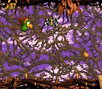 Screechs Sprint DKC2 shot 2.png