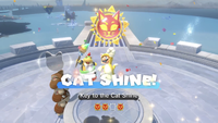 The "Key to the Cat Shine" Cat Shine in Slipskate Slope in Bowser's Fury