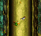 Squawks navigates a dangerous path with Swoopy woodpeckers at Swoopy Salvo.