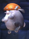 Tuff Fluff