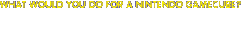 The What would YOU do for a Nintendo GameCube? logo