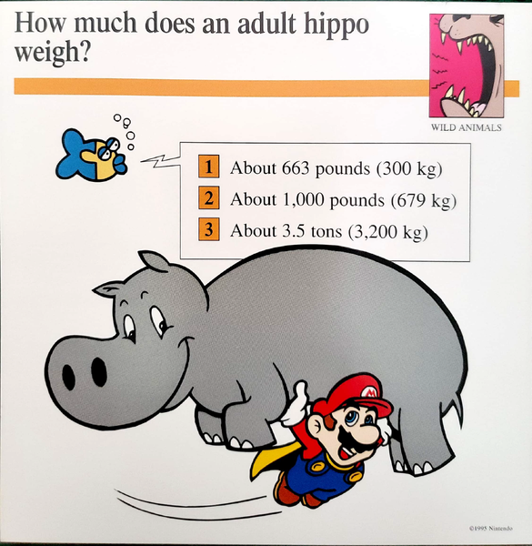 File:Adult hippo quiz card.png