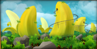 Bananacoaster.png