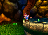 A green Banana Bunch and 3 green Banana Coins in Fungi Forest.