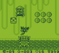 NM WL Chase Course.png
