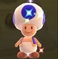 New Super Mario Bros. Wii (Blue Toad)