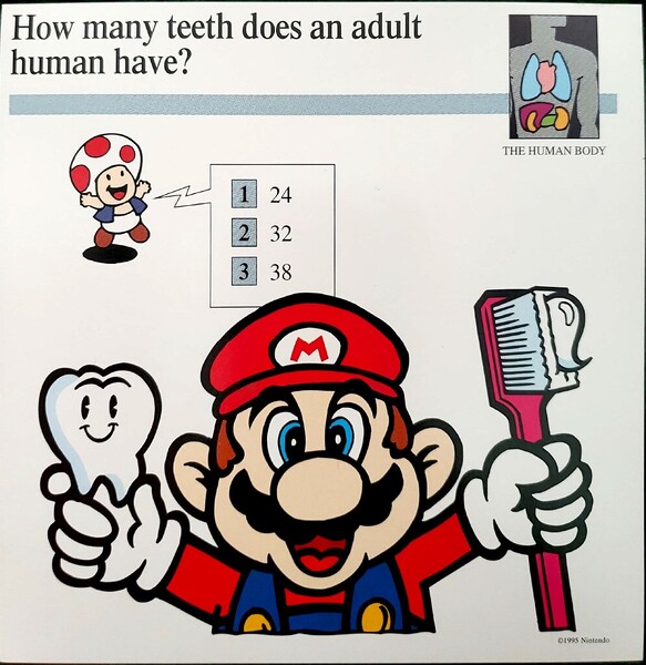 File:Adult human teeth quiz card.jpg