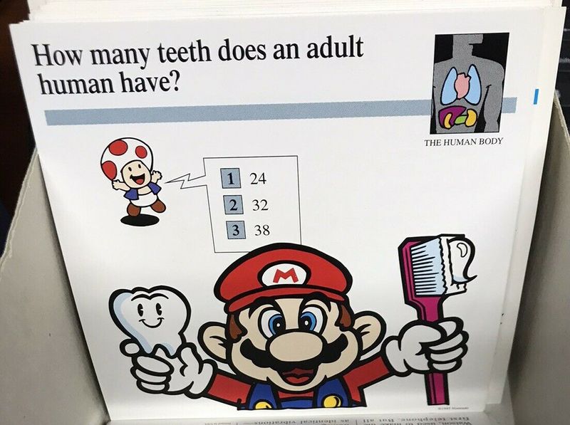 File:Adult human teeth quiz card.jpg