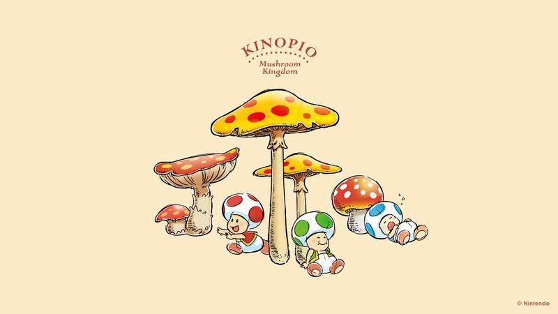 File:My Nintendo Toads and Mushrooms wallpaper.jpg