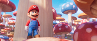 Mario standing on a Mushroom (platform)