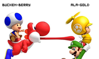 Image of Blue Toad and Yellow Toad from New Super Mario Bros. Wii