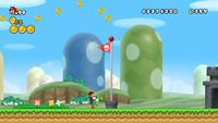The red flag in World 1-3 of New Super Mario Bros. Wii.