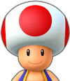 Toadette's mushroom cap is slightly lower than Toad's