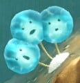Soggy Scatterpuffs