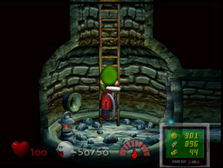 The Bottom of the Well in Luigi's Mansion