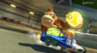 Donkey Kong and Cat Peach, driving on Yoshi Circuit