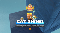 Collecting a Cat Shine in Bowser's Fury