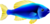 Model of a blue fish from Super Mario Sunshine. It resembles a yellow-tail acei.