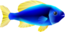 Model of a blue fish from Super Mario Sunshine. It resembles a yellow-tail acei.