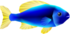 Model of a blue fish from Super Mario Sunshine.