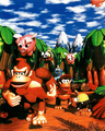 Donkey Kong Land