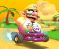 Wario's Pipe Frame